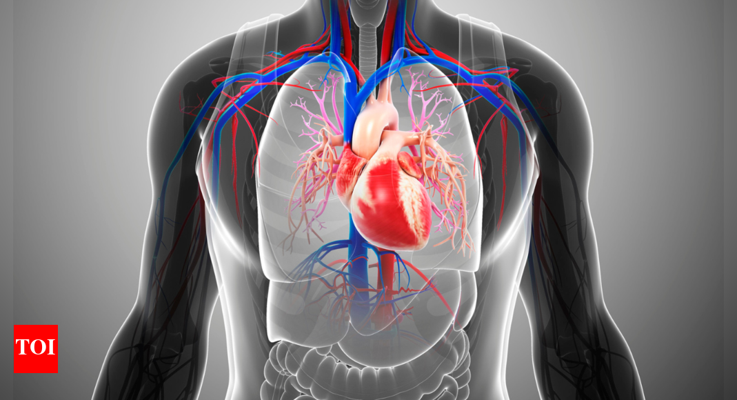 Strengthen the heart naturally: 5 tips that actually work