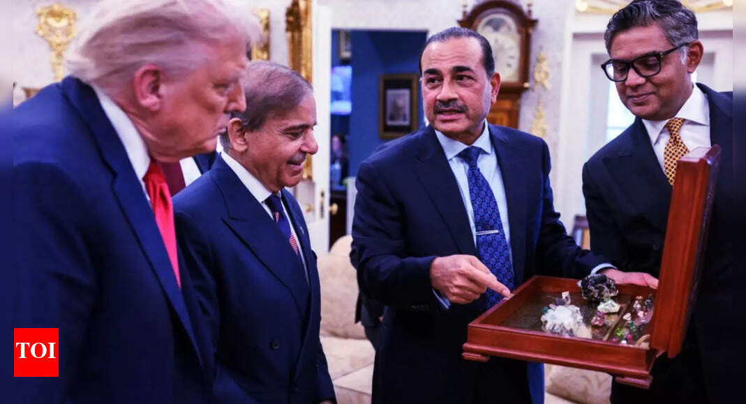 ‘What a joke’: Pak lawmaker mocks ‘salesman’ Munir’s rare earth display for Trump; gives dire warning