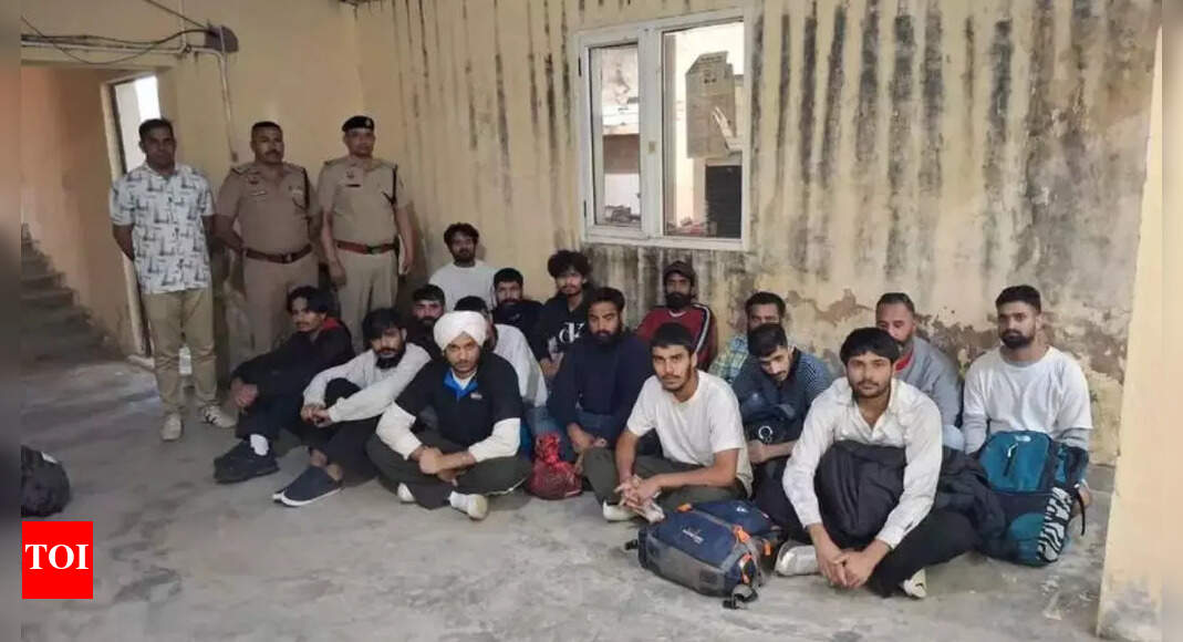 US Deportation: Sold land, crossed jungles, jailed abroad: 50 Haryana youths handcuffed, deported from US; agent vanishes with crores | Chandigarh News