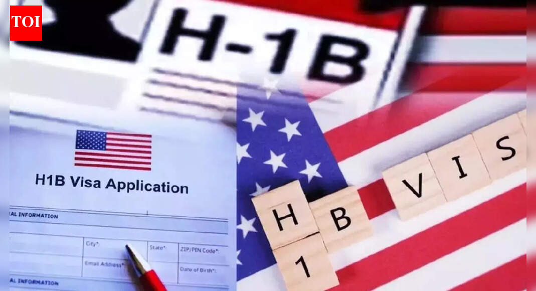 ‘One district in India got 220,000 H-1B visas’: US economist explains ‘fraud’, says only 12% comes from China