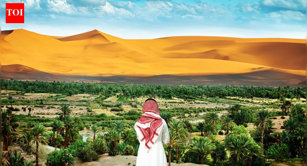 Will Saudi Arabia succeed in turning its vast desert landscape green by planting 10 billion trees? | World News